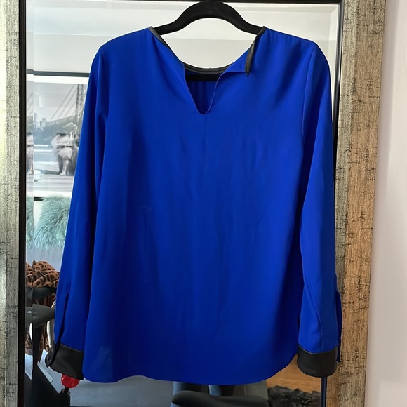 Blue Blouse - Picture 3 of 5